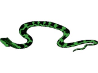 Sticker Custom Preview Image #025286 Animals Land Animals Snake33