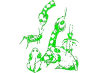 Sticker Custom Preview Image #025294 Animals Land Animals Snakes Frogs