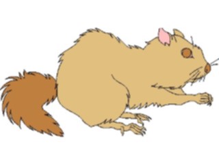 Sticker Custom Preview Image #025300 Animals Land Animals Squirrel04