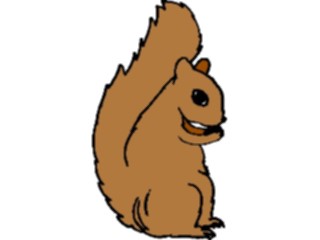 Sticker Custom Preview Image #025301 Animals Land Animals Squirrel05