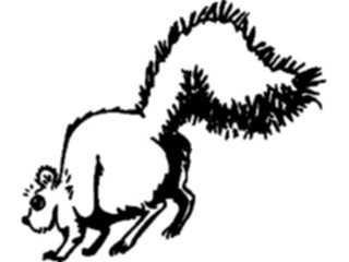 Sticker Custom Preview Image #025302 Animals Land Animals Squirrel06