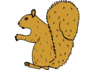 Sticker Custom Preview Image #025304 Animals Land Animals Squirrel08