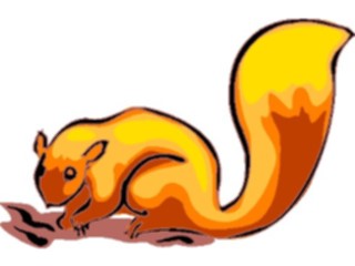 Sticker Custom Preview Image #025305 Animals Land Animals Squirrel09
