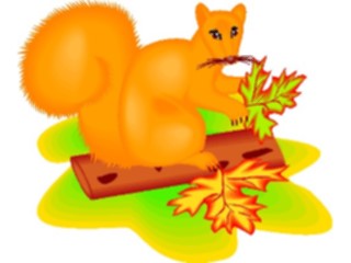 Sticker Custom Preview Image #025306 Animals Land Animals Squirrel10