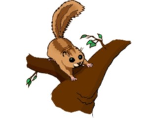 Sticker Custom Preview Image #025308 Animals Land Animals Squirrel12