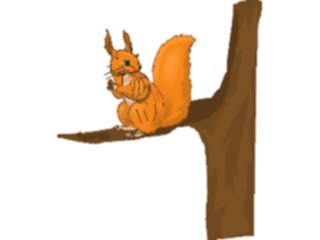 Sticker Custom Preview Image #025309 Animals Land Animals Squirrel13