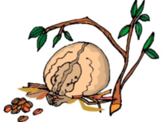 Sticker Custom Preview Image #025310 Animals Land Animals Squirrel14