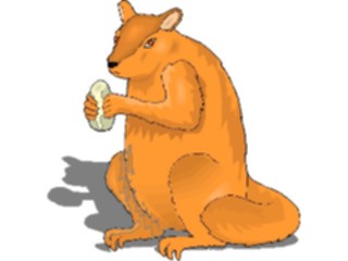 Sticker Custom Preview Image #025311 Animals Land Animals Squirrel15