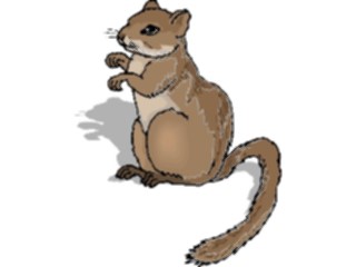 Sticker Custom Preview Image #025312 Animals Land Animals Squirrel16