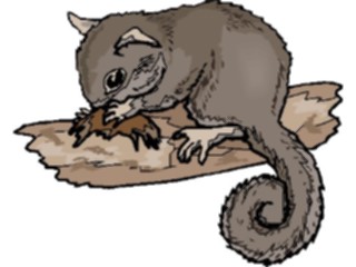 Sticker Custom Preview Image #025313 Animals Land Animals Squirrel17