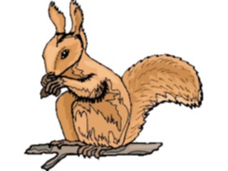 Sticker Custom Preview Image #025314 Animals Land Animals Squirrel18