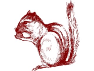 Sticker Custom Preview Image #025319 Animals Land Animals Squirrel23