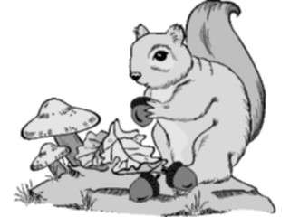 Sticker Custom Preview Image #025325 Animals Land Animals Squirrelwith Acorn1