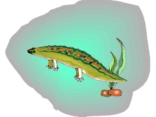 Sticker Custom Preview Image #025327 Animals Land Animals Tadpole