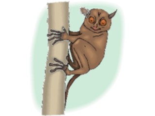 Sticker Custom Preview Image #025329 Animals Land Animals Taiser2