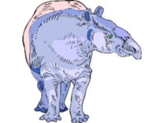 Sticker Custom Preview Image #025332 Animals Land Animals Tapir3