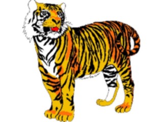 Sticker Custom Preview Image #025337 Animals Land Animals Tiger01