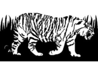 Sticker Custom Preview Image #025338 Animals Land Animals Tiger02