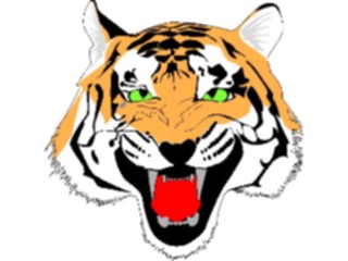 Sticker Custom Preview Image #025339 Animals Land Animals Tiger03