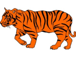 Sticker Custom Preview Image #025340 Animals Land Animals Tiger04