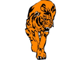 Sticker Custom Preview Image #025341 Animals Land Animals Tiger05