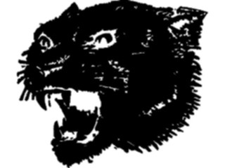 Sticker Custom Preview Image #025343 Animals Land Animals Tiger07