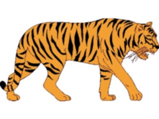 Sticker Custom Preview Image #025345 Animals Land Animals Tiger09