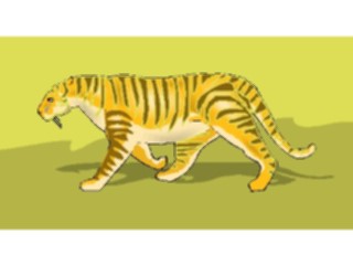 Sticker Custom Preview Image #025353 Animals Land Animals Tiger17