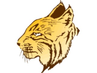 Sticker Custom Preview Image #025356 Animals Land Animals Tiger Face1