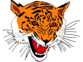 Sticker Custom Preview Image #025358 Animals Land Animals Tiger Face3
