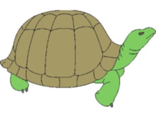 Sticker Custom Preview Image #025365 Animals Land Animals Tortoise1