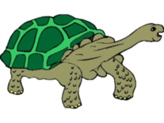 Sticker Custom Preview Image #025366 Animals Land Animals Tortoise2