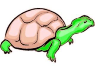 Sticker Custom Preview Image #025367 Animals Land Animals Tortoise3