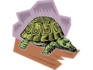 Sticker Custom Preview Image #025368 Animals Land Animals Tortoise4