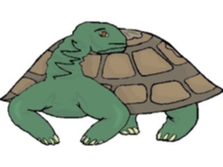 Sticker Custom Preview Image #025369 Animals Land Animals Tortoise5