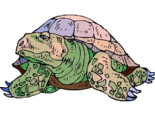 Sticker Custom Preview Image #025370 Animals Land Animals Tortoise6