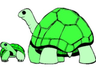 Sticker Custom Preview Image #025371 Animals Land Animals Tortoise7