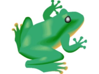 Sticker Custom Preview Image #025372 Animals Land Animals Tree Frog1