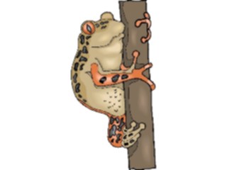 Sticker Custom Preview Image #025373 Animals Land Animals Tree Frog2