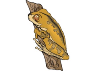 Sticker Custom Preview Image #025374 Animals Land Animals Tree Frog3