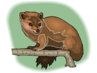 Sticker Custom Preview Image #025376 Animals Land Animals Tree Otter