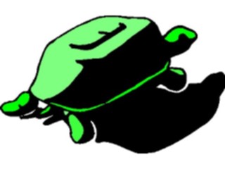 Sticker Custom Preview Image #025378 Animals Land Animals Turtle1