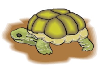 Sticker Custom Preview Image #025379 Animals Land Animals Turtle2