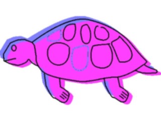 Sticker Custom Preview Image #025380 Animals Land Animals Turtle3