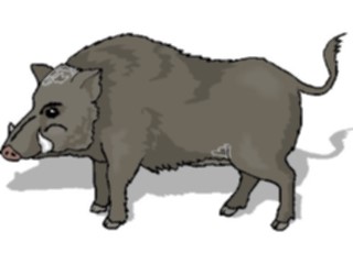 Sticker Custom Preview Image #025398 Animals Land Animals Wild Boar2