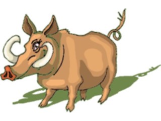 Sticker Custom Preview Image #025400 Animals Land Animals Wild Boar4