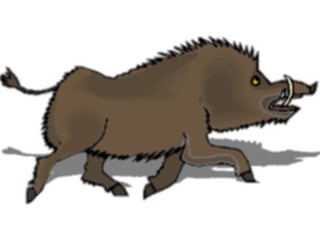 Sticker Custom Preview Image #025401 Animals Land Animals Wild Boar5