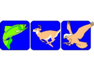 Sticker Custom Preview Image #025402 Animals Land Animals Wildlife1