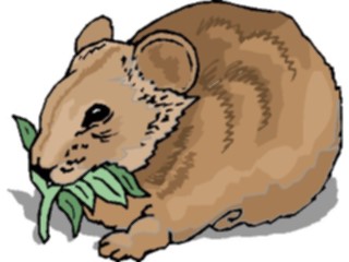 Sticker Custom Preview Image #025426 Animals Land Animals Wombat3