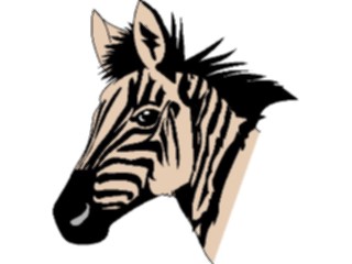 Sticker Custom Preview Image #025431 Animals Land Animals Zebra03